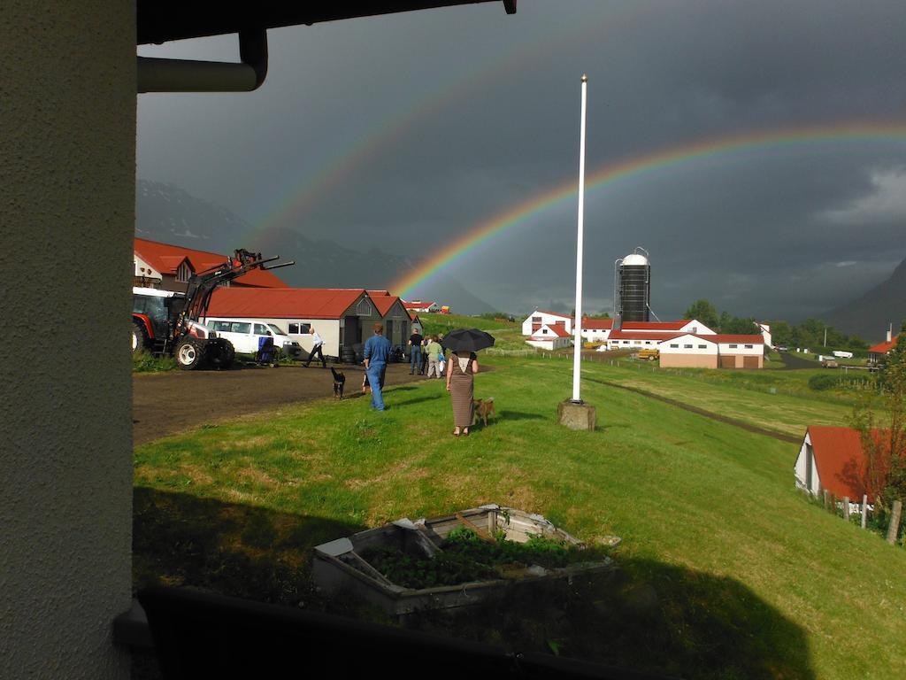Bauernhof Skorrahestar Neskaupstaður