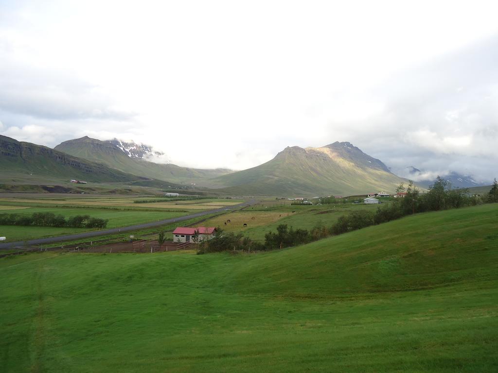 Skorrahestar Neskaupstaður