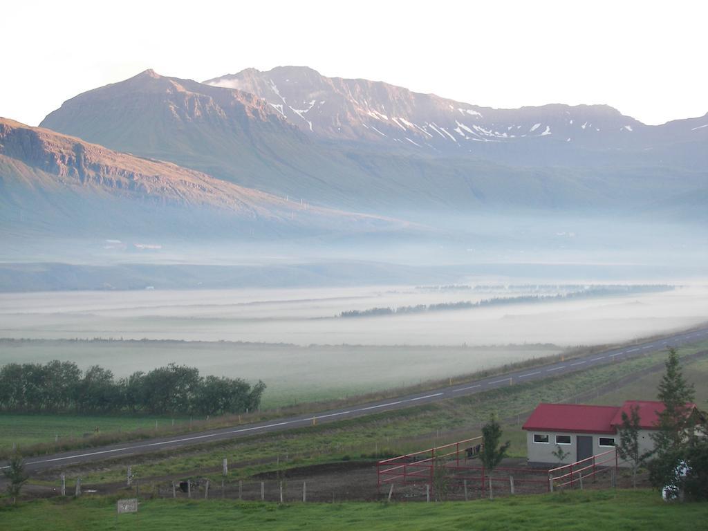 Skorrahestar Neskaupstaður